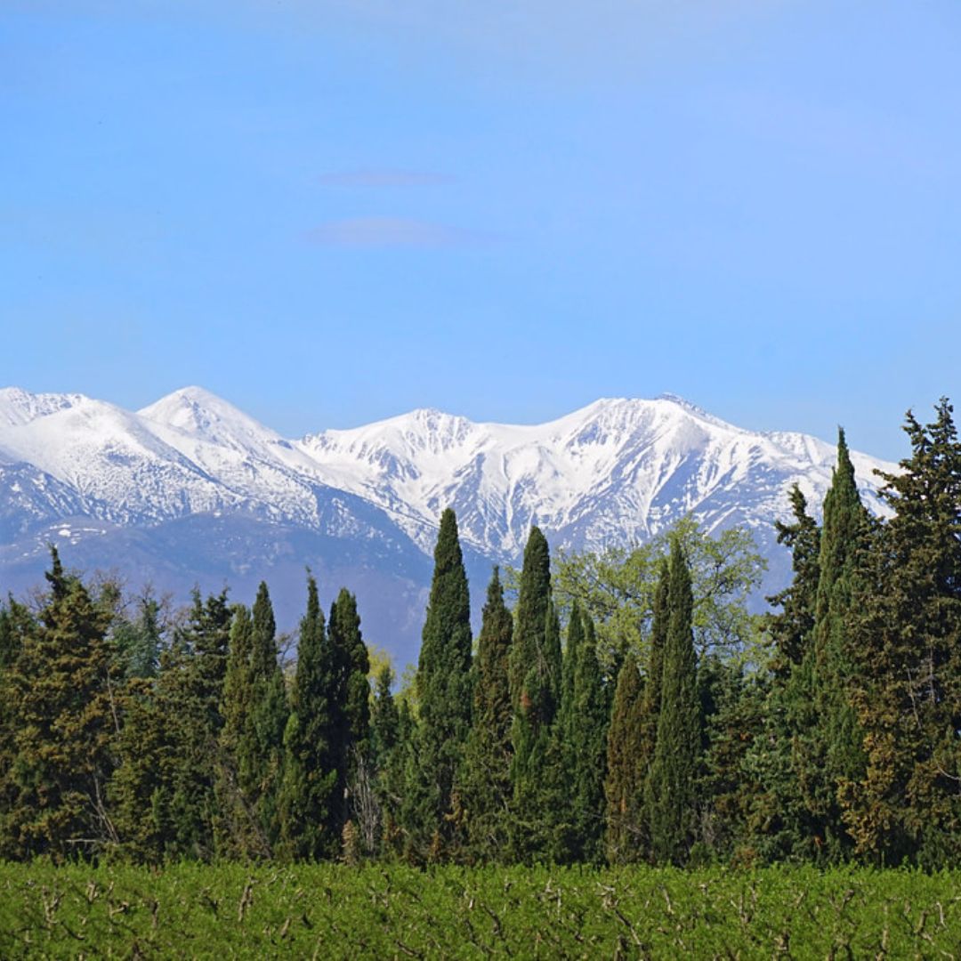 couvreur-pyrenees-orientales couvreur-66